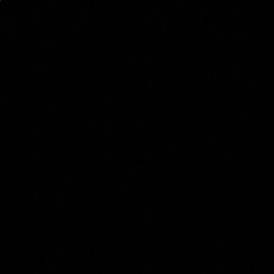 Meet your Posher, Dylan